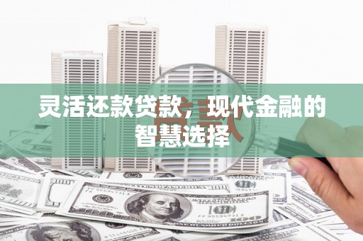 桑日灵活还款贷款，现代金融的智慧选择