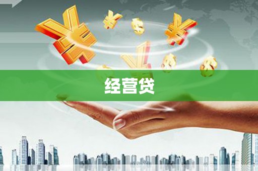 桑日经营贷