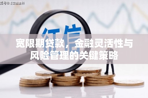 桑日宽限期贷款，金融灵活性与风险管理的关键策略