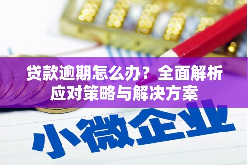 桑日贷款逾期怎么办？全面解析应对策略与解决方案