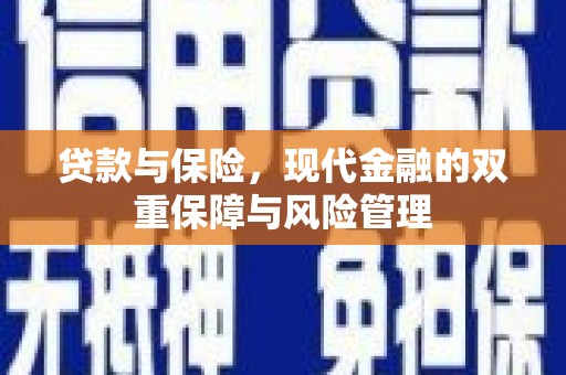 桑日贷款与保险，现代金融的双重保障与风险管理