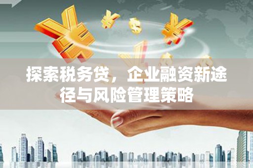 桑日探索税务贷，企业融资新途径与风险管理策略
