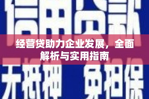 桑日经营贷助力企业发展，全面解析与实用指南