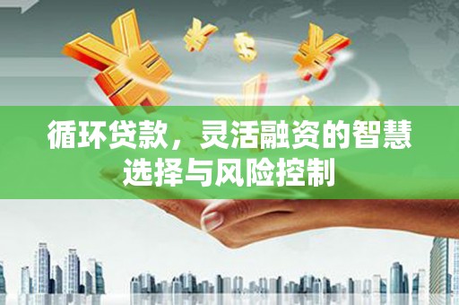 桑日循环贷款，灵活融资的智慧选择与风险控制