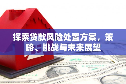 桑日探索贷款风险处置方案，策略、挑战与未来展望