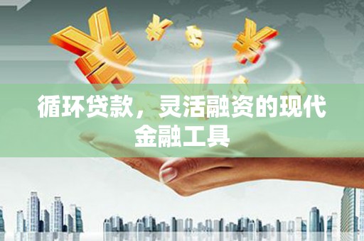 桑日循环贷款，灵活融资的现代金融工具