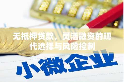 桑日无抵押贷款，灵活融资的现代选择与风险控制