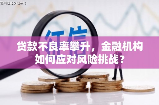 桑日贷款不良率攀升，金融机构如何应对风险挑战？
