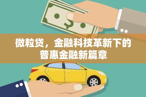 桑日微粒贷，金融科技革新下的普惠金融新篇章