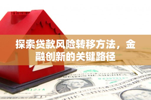 桑日探索贷款风险转移方法，金融创新的关键路径