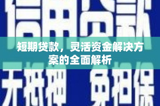 桑日短期贷款，灵活资金解决方案的全面解析