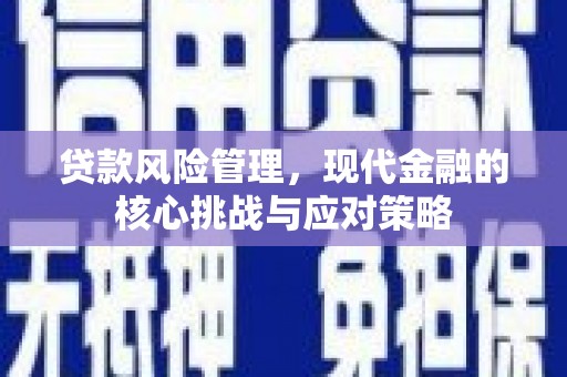 桑日贷款风险管理，现代金融的核心挑战与应对策略