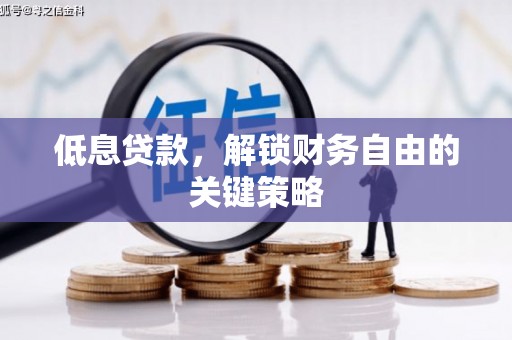 桑日低息贷款，解锁财务自由的关键策略