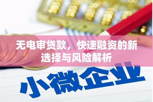 桑日无电审贷款，快速融资的新选择与风险解析