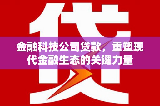 桑日金融科技公司贷款，重塑现代金融生态的关键力量