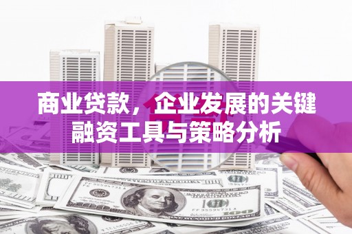 桑日商业贷款，企业发展的关键融资工具与策略分析