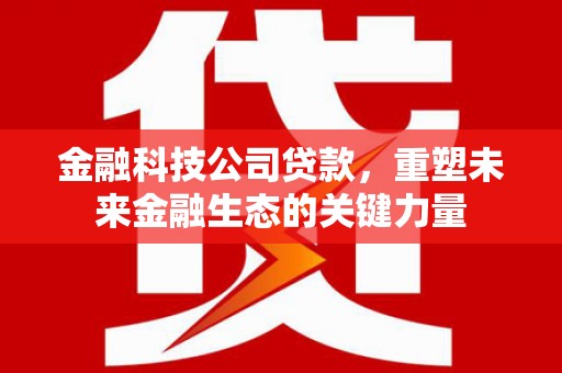 桑日金融科技公司贷款，重塑未来金融生态的关键力量