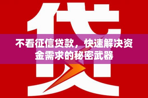 桑日不看征信贷款，快速解决资金需求的秘密武器