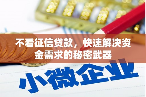 桑日不看征信贷款，快速解决资金需求的秘密武器