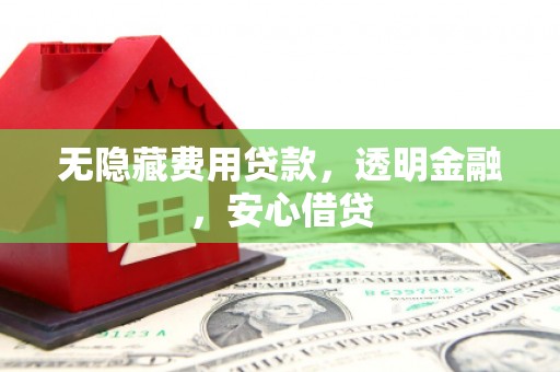 桑日无隐藏费用贷款，透明金融，安心借贷