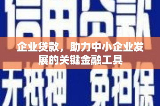 桑日企业贷款，助力中小企业发展的关键金融工具
