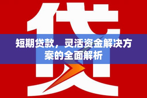 桑日短期贷款，灵活资金解决方案的全面解析