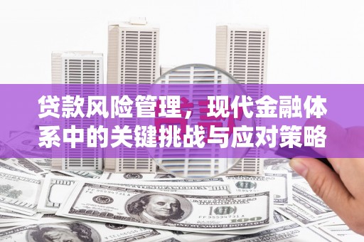 桑日贷款风险管理，现代金融体系中的关键挑战与应对策略