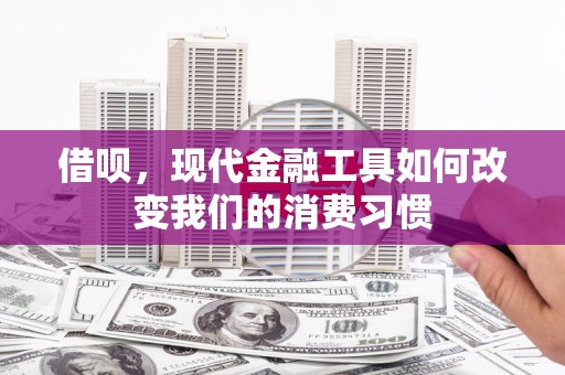 桑日借呗，现代金融工具如何改变我们的消费习惯