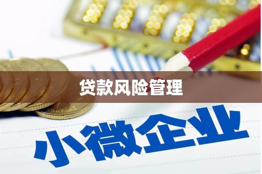 桑日贷款风险管理