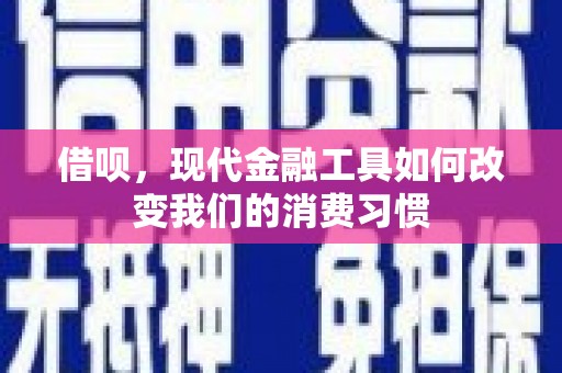 桑日借呗，现代金融工具如何改变我们的消费习惯
