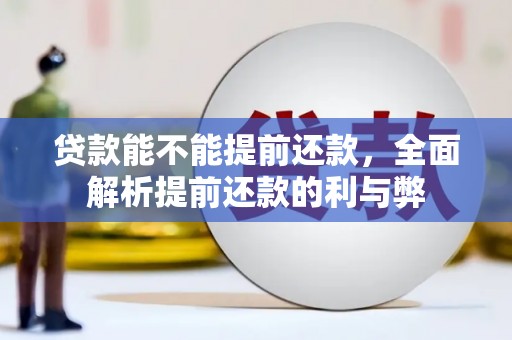 桑日贷款能不能提前还款，全面解析提前还款的利与弊