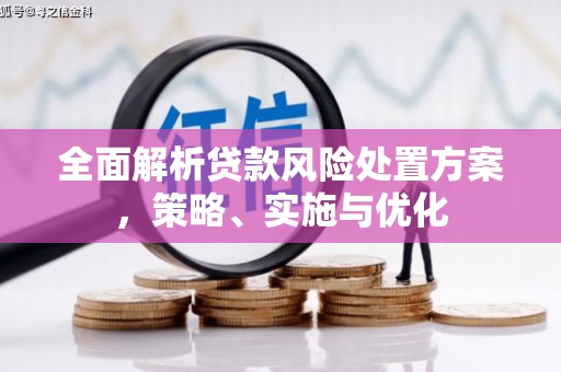 桑日全面解析贷款风险处置方案，策略、实施与优化