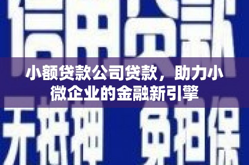 桑日小额贷款公司贷款，助力小微企业的金融新引擎