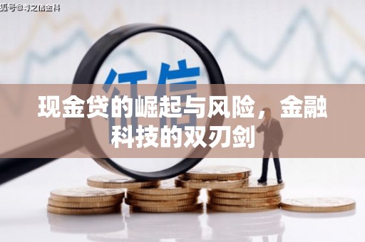 桑日现金贷的崛起与风险，金融科技的双刃剑