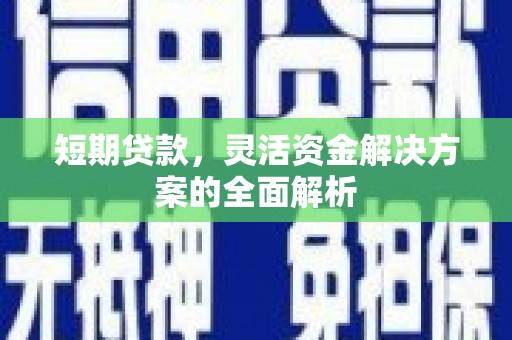 桑日短期贷款，灵活资金解决方案的全面解析
