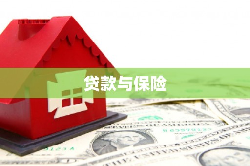 桑日贷款与保险