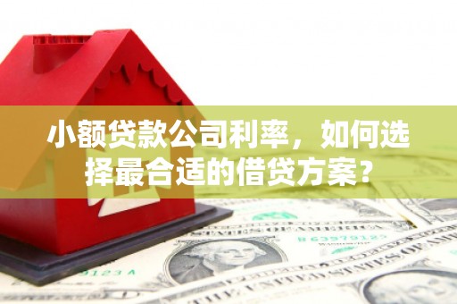 桑日小额贷款公司利率，如何选择最合适的借贷方案？