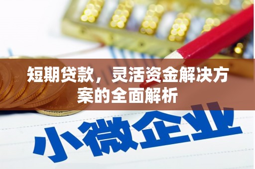桑日短期贷款，灵活资金解决方案的全面解析
