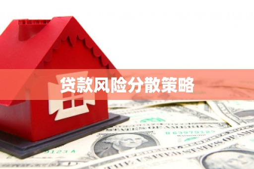 桑日贷款风险分散策略