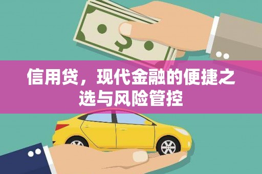 桑日信用贷，现代金融的便捷之选与风险管控