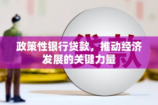 桑日政策性银行贷款，推动经济发展的关键力量
