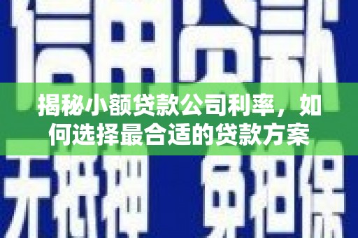 桑日揭秘小额贷款公司利率，如何选择最合适的贷款方案
