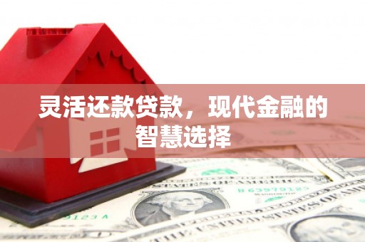 桑日灵活还款贷款，现代金融的智慧选择