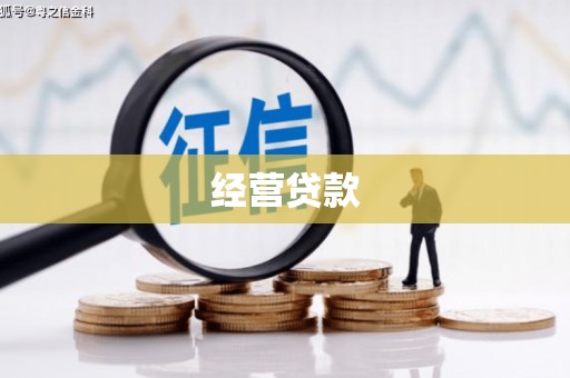 桑日经营贷款