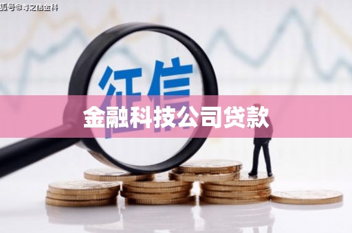 桑日金融科技公司贷款