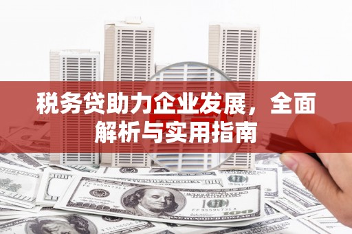 桑日税务贷助力企业发展，全面解析与实用指南