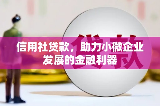 桑日信用社贷款，助力小微企业发展的金融利器