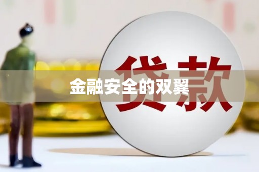 桑日金融安全的双翼