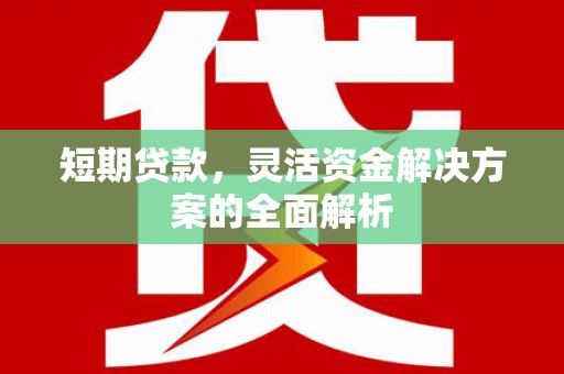 桑日短期贷款，灵活资金解决方案的全面解析