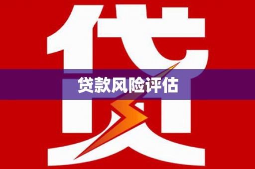 桑日贷款风险评估